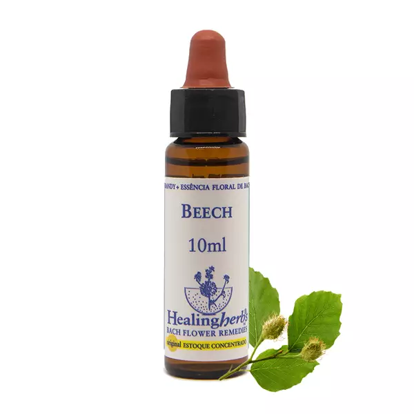 Floral Beech Healing 10ml