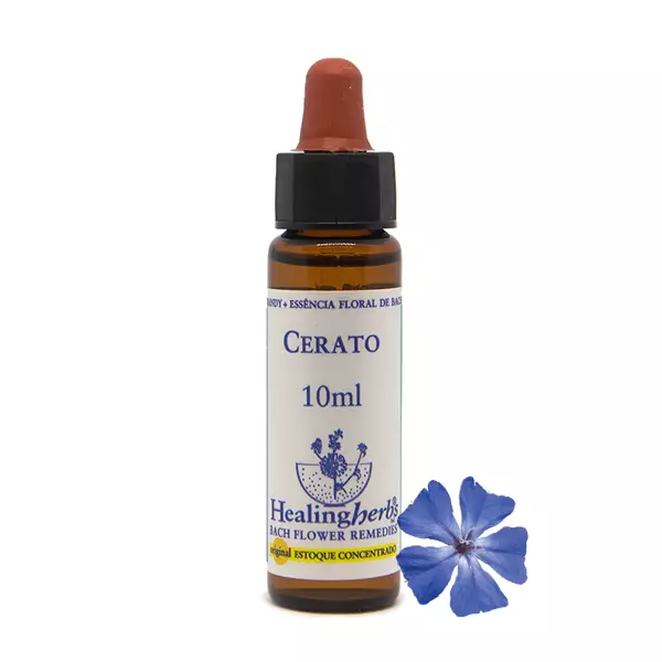Floral Cerato Healing 10ml