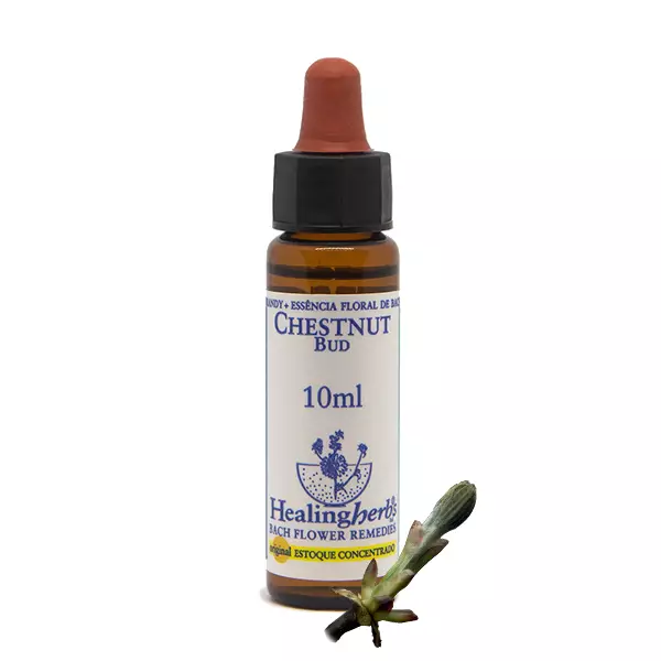 Floral Chestnut Bud Healing 10ml