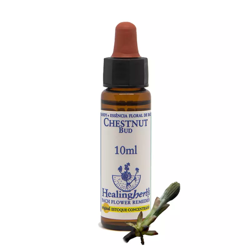 Floral Chestnut Bud Healing 10ml