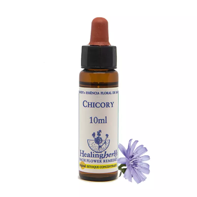 Floral Chicory Healing 10ml