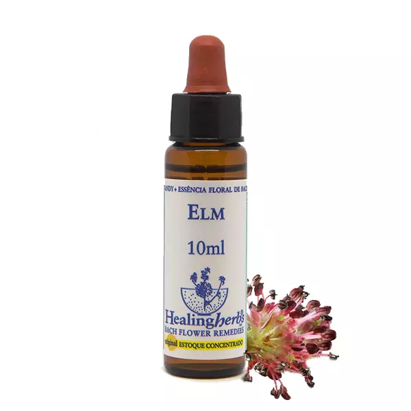 Floral Elm Healing 10ml