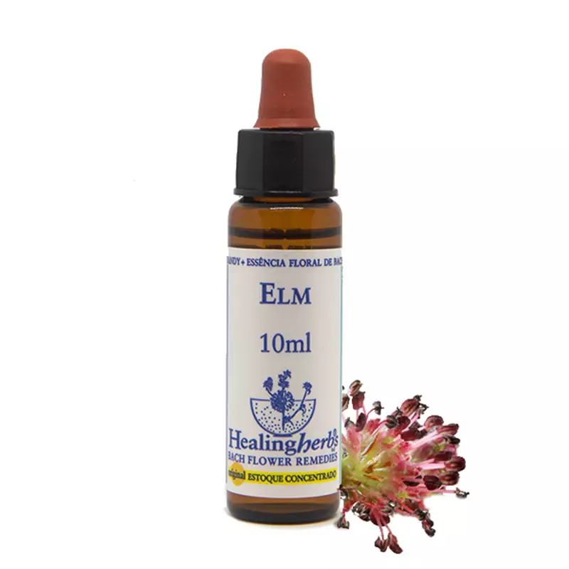 Floral Elm Healing 10ml