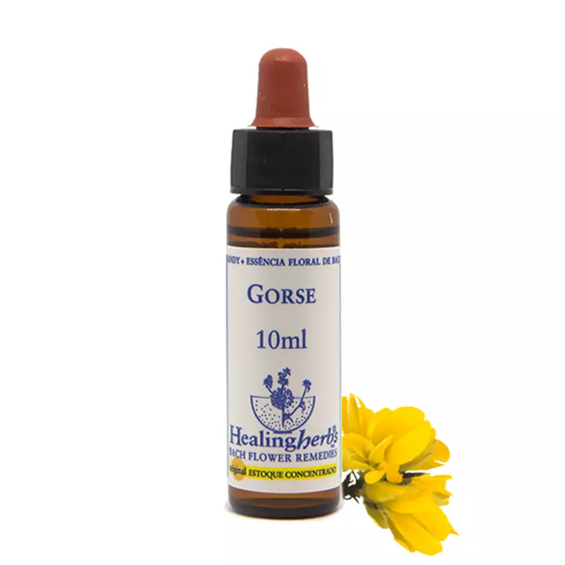 Floral Gorse Healing 10ml