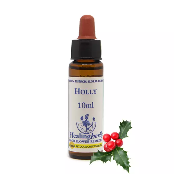 Floral Holly Healing 10ml