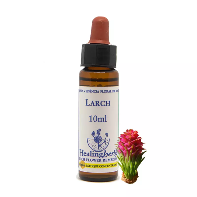 Floral Larch Healing 10ml