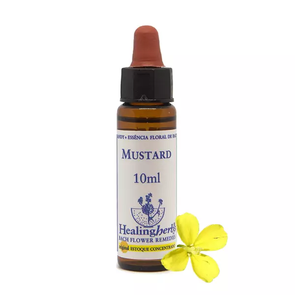 Floral Mustard Healing 10ml