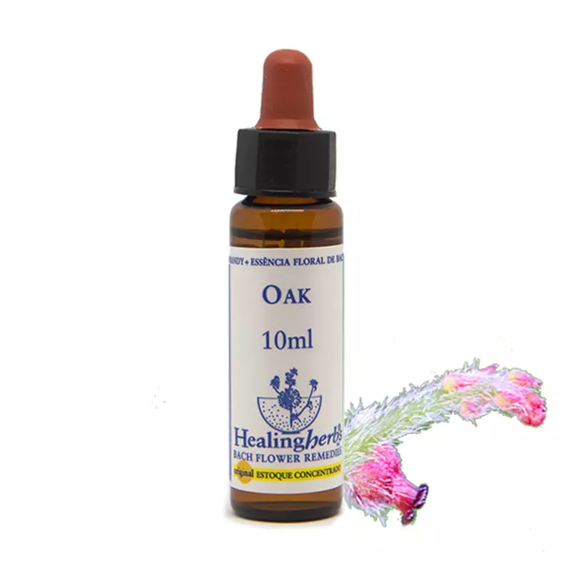 Floral Oak Healing 10ml