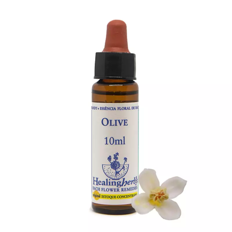 Floral Olive Healing 10ml