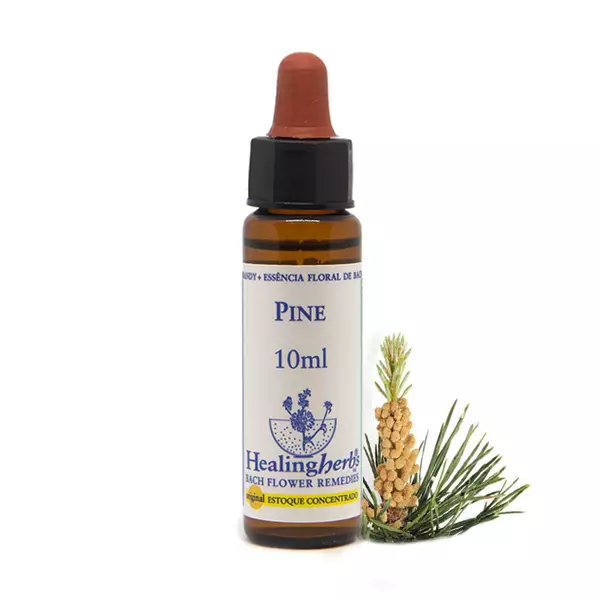 Floral Pine Healing 10ml