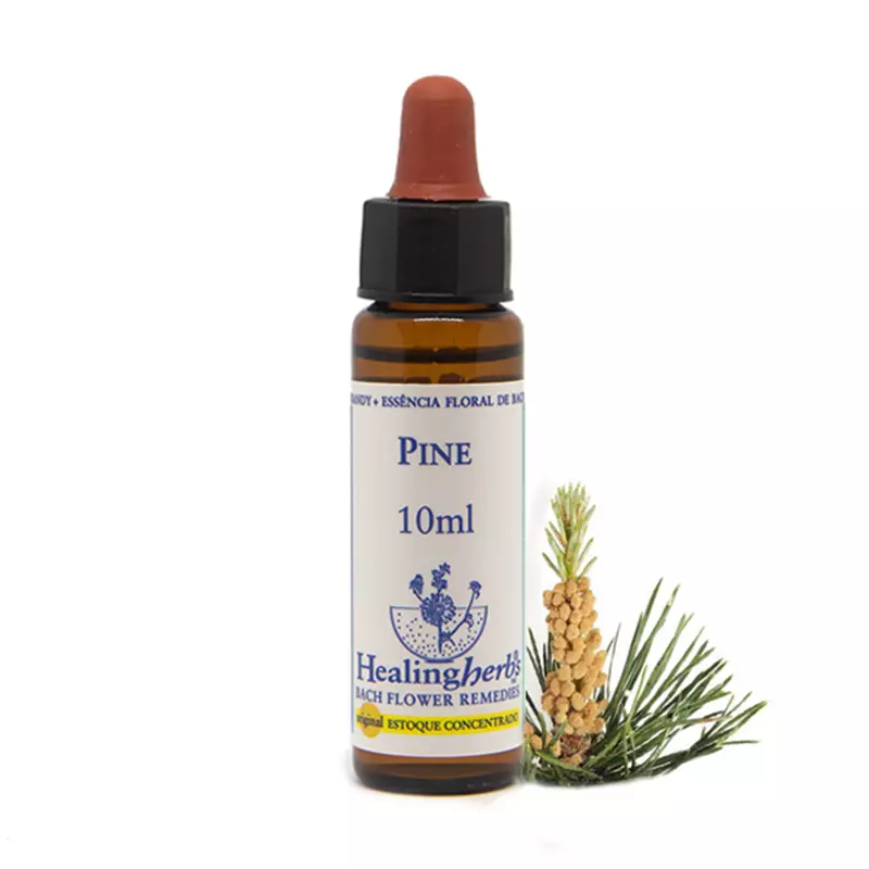 Floral Pine Healing 10ml