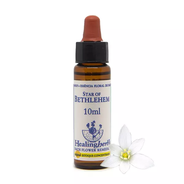Floral Star of Bethlehem Healing 10ml
