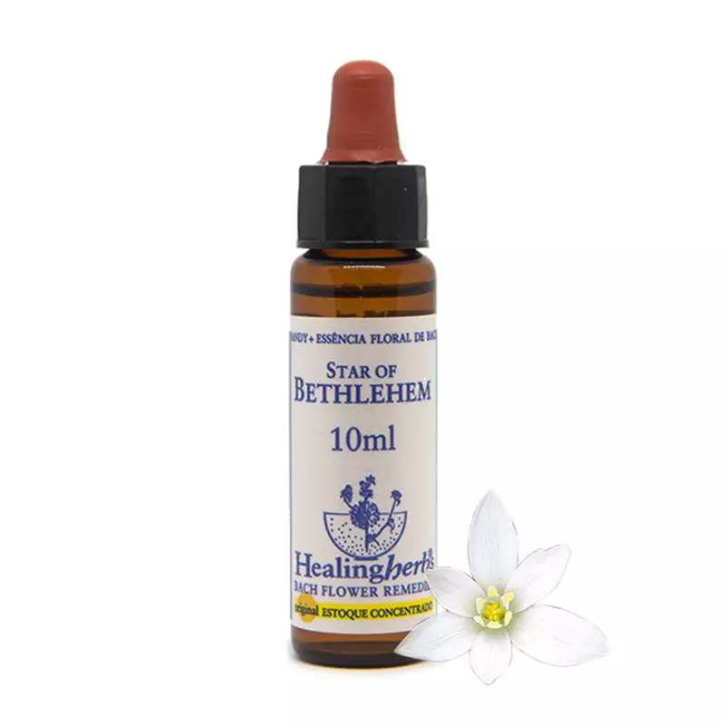 Floral Star of Bethlehem Healing 10ml