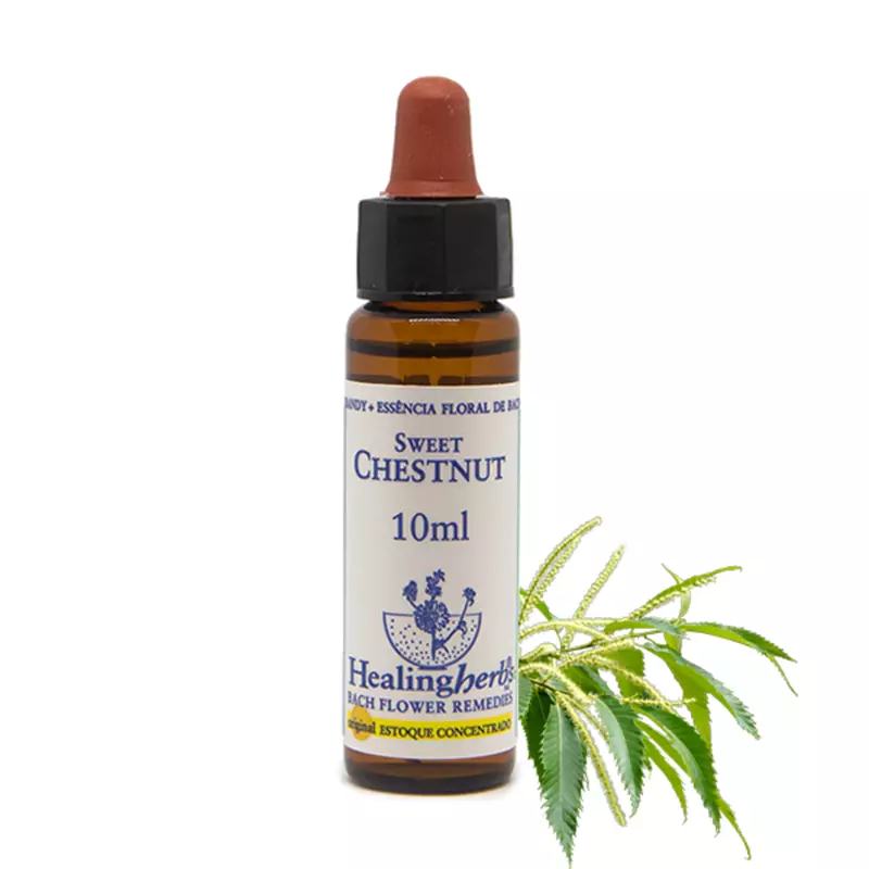 Floral Sweet Chestnut Healing 10ml
