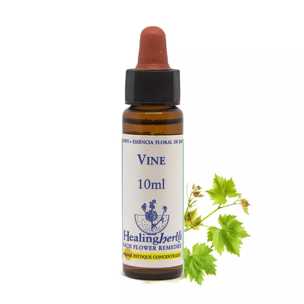 Floral Vine Healing 10ml