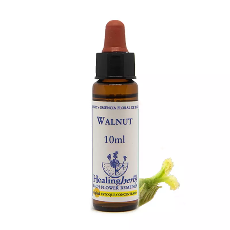 Floral  Walnut Healing 10ml