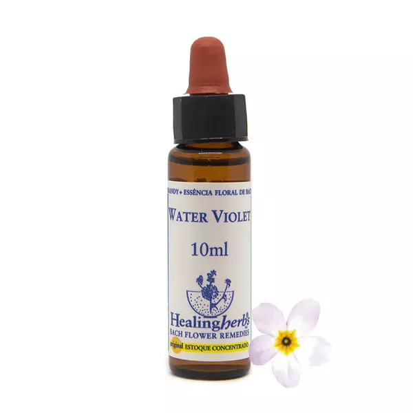 Floral  Water Violet  Healing 10ml
