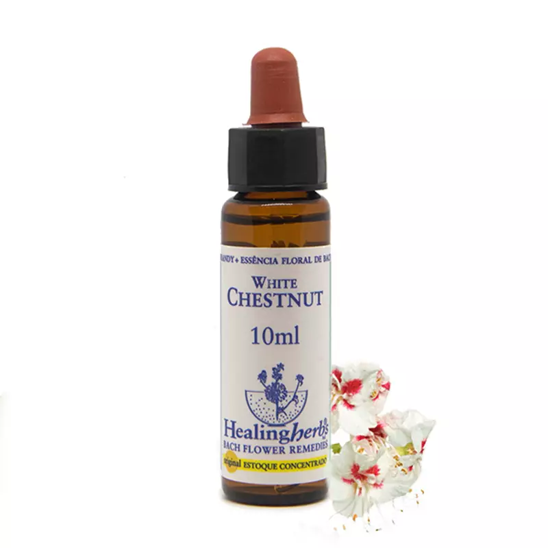Floral  White Chestnut  Healing 10ml