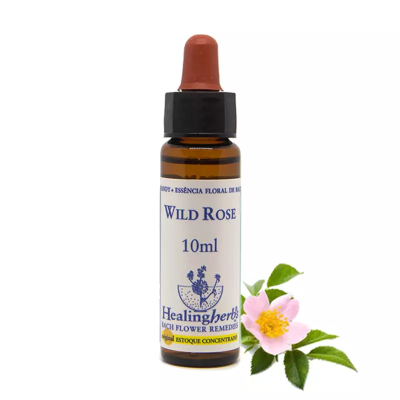 Floral  Wild Rose Healing 10ml